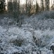 Тур-приключение «Сказка зимнего леса»